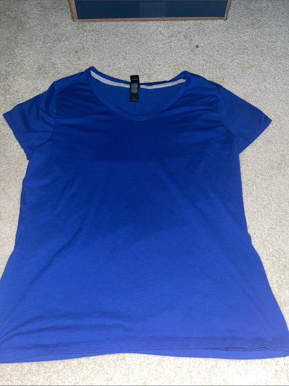 Hanes Women's Short Sleeve V-Neck Tee - Royal Blue